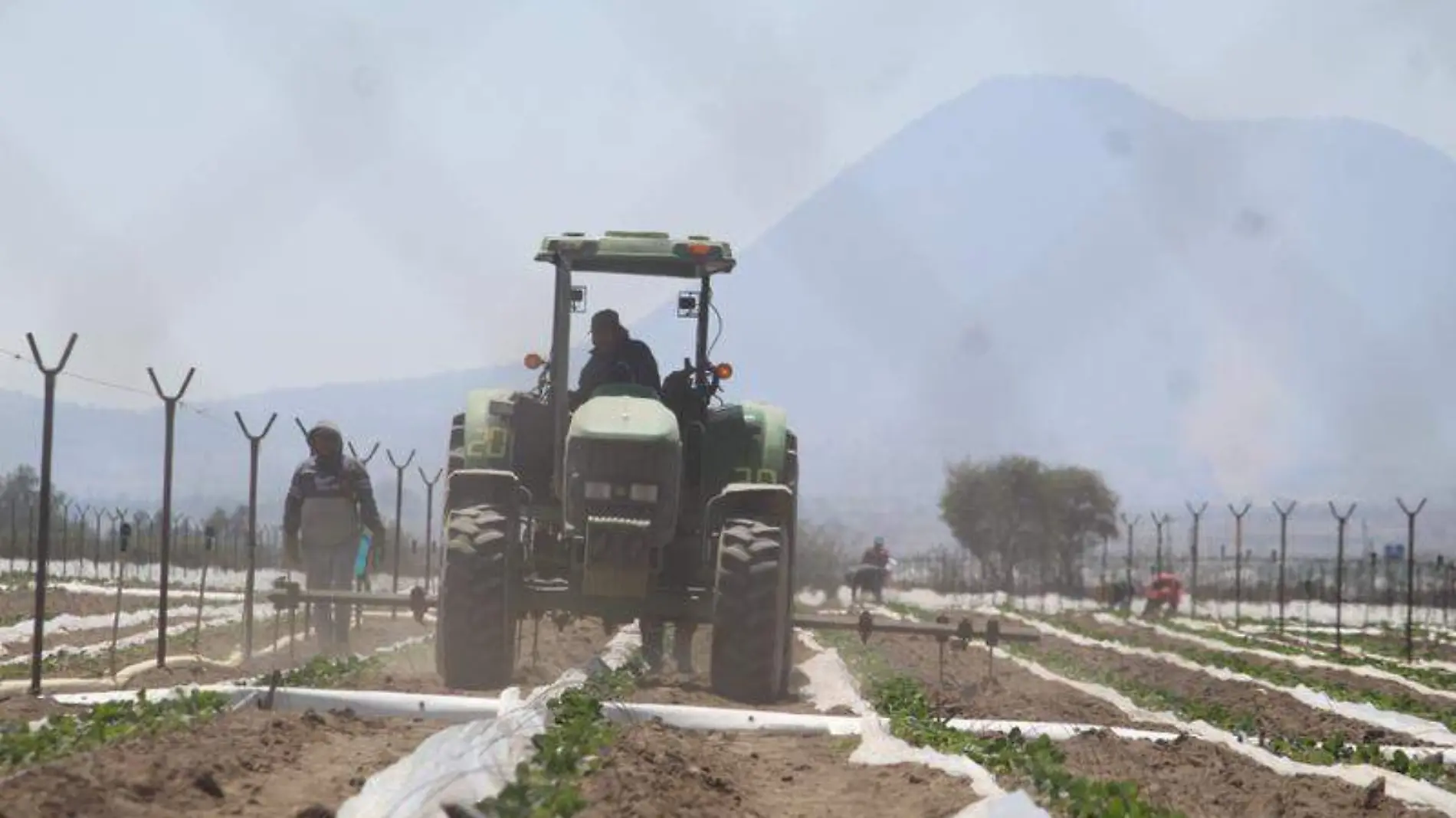 Mujeres agroindustria (6)